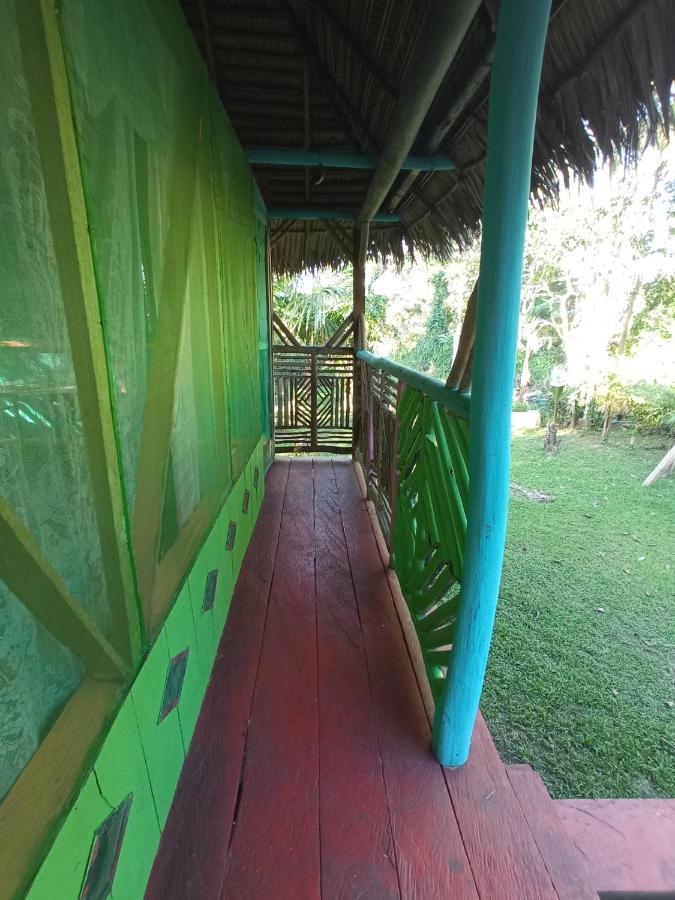 Hostal Buho Amazonas Tours Leticia Exterior foto